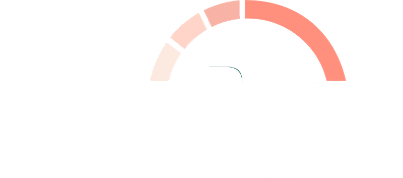 bridgit logo